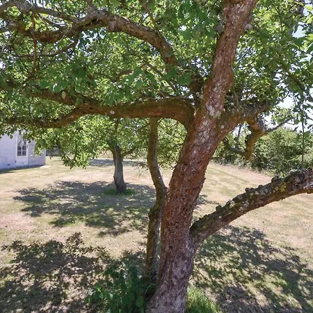 Two-bedroom In